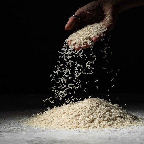 Basmati Rice 1509 - Dev Tandoor Industries